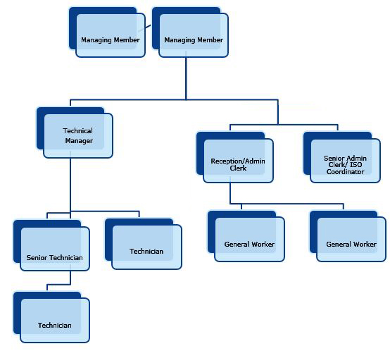 Brake Safe Mining - company-structure - Brake Safe Mining